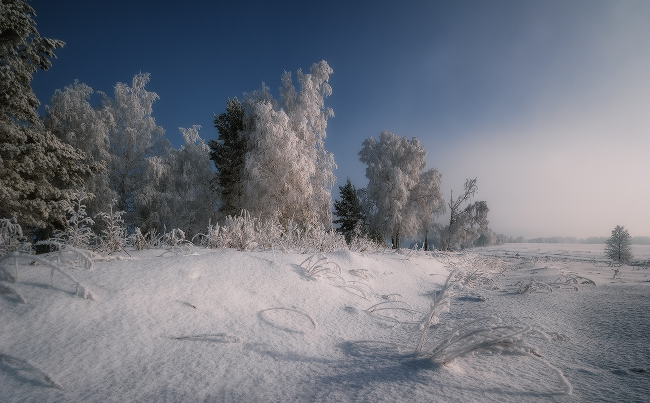 Die Dezember-Tag ... 2