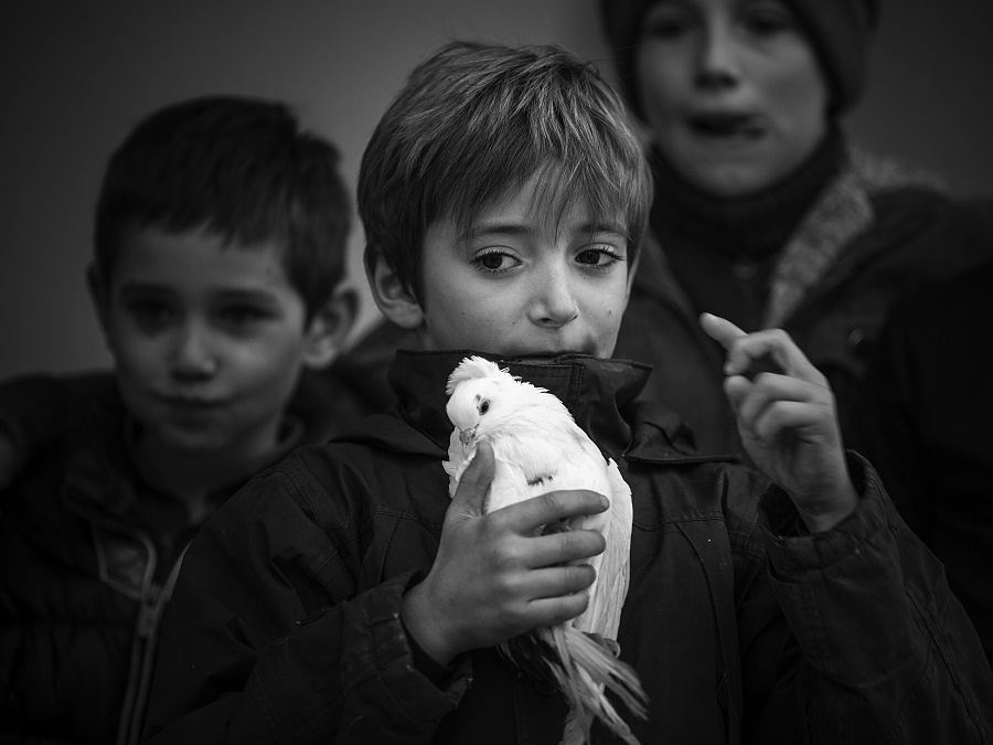 Kind mit einer Taube