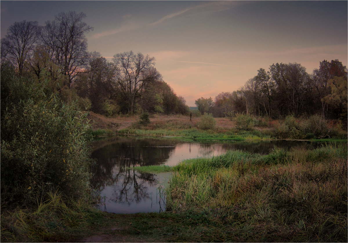 Evening Friedensbewegung