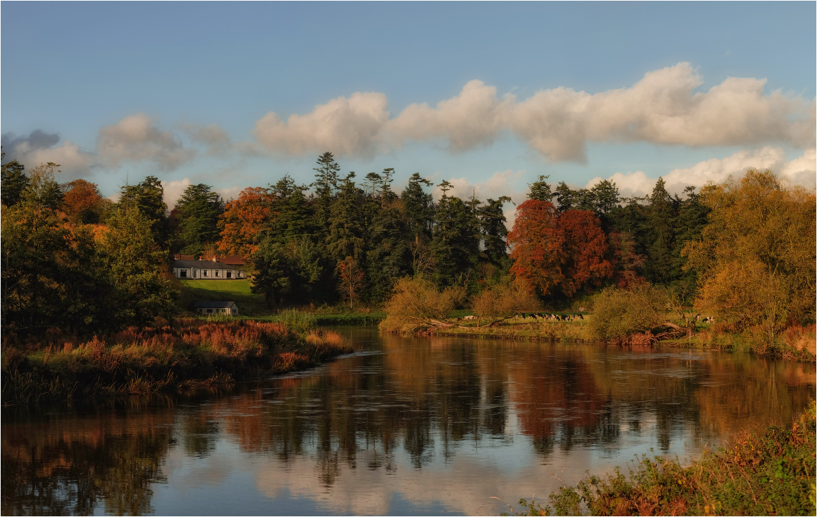 ... Über die Biegung des IV ...