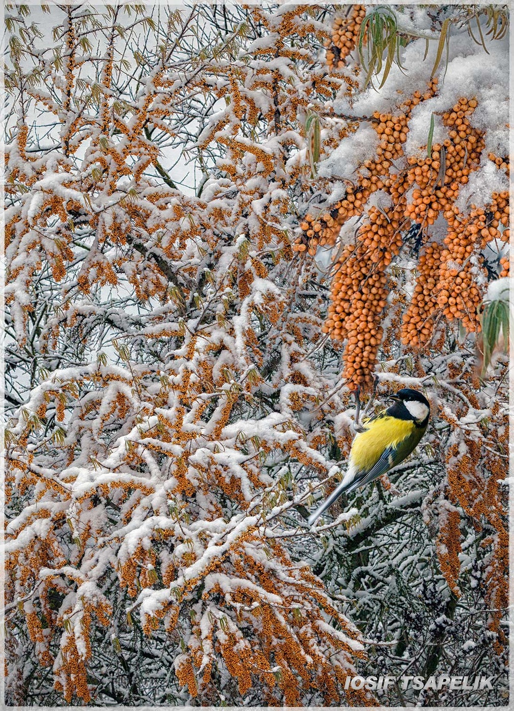 Der erste Test des Winters