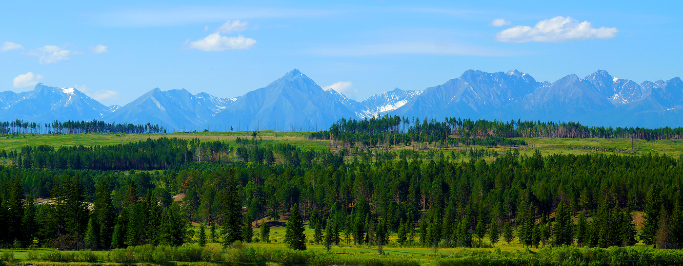 In einer grünen Halskette