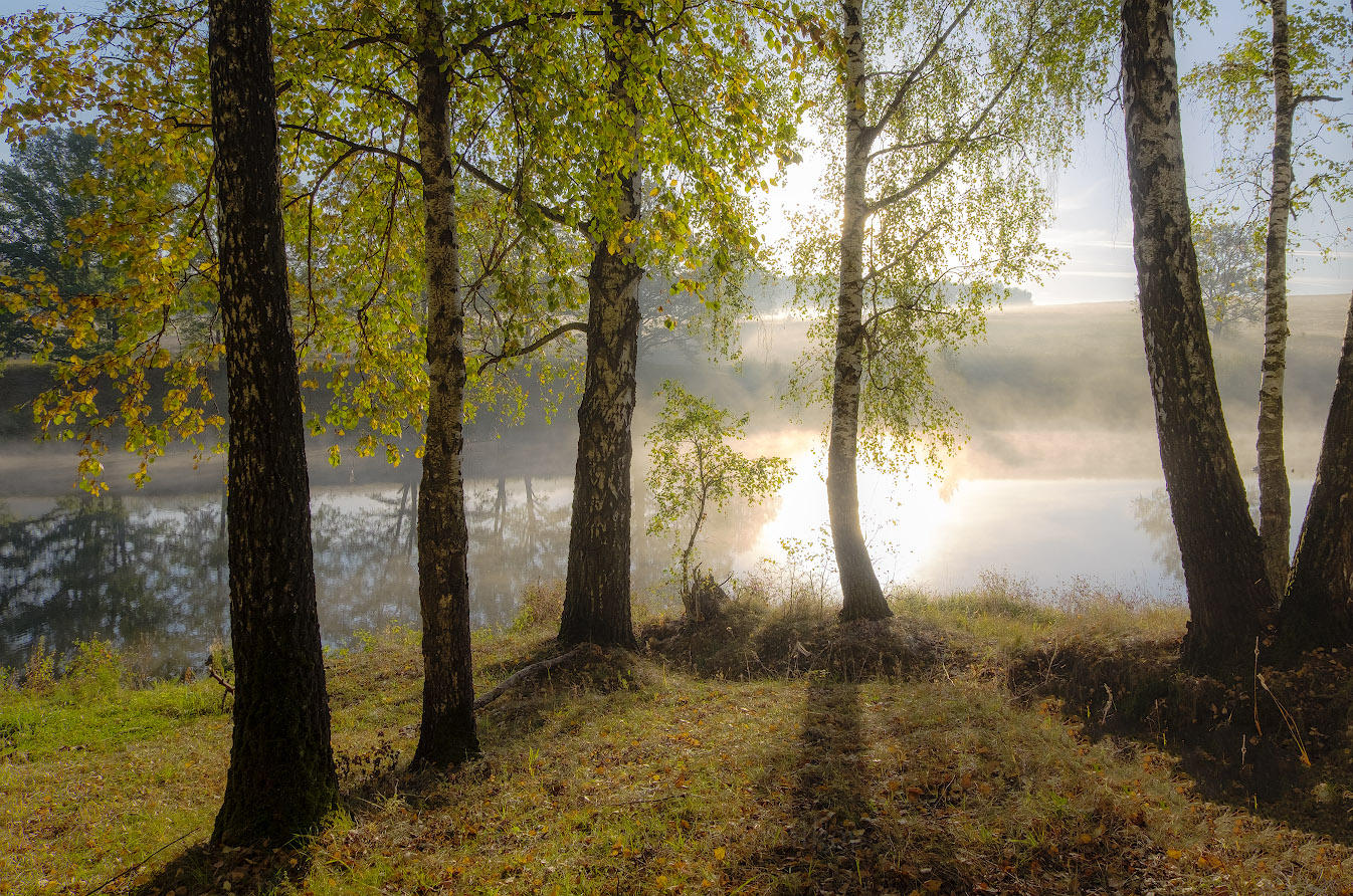 Morgendämmerung, Nebel