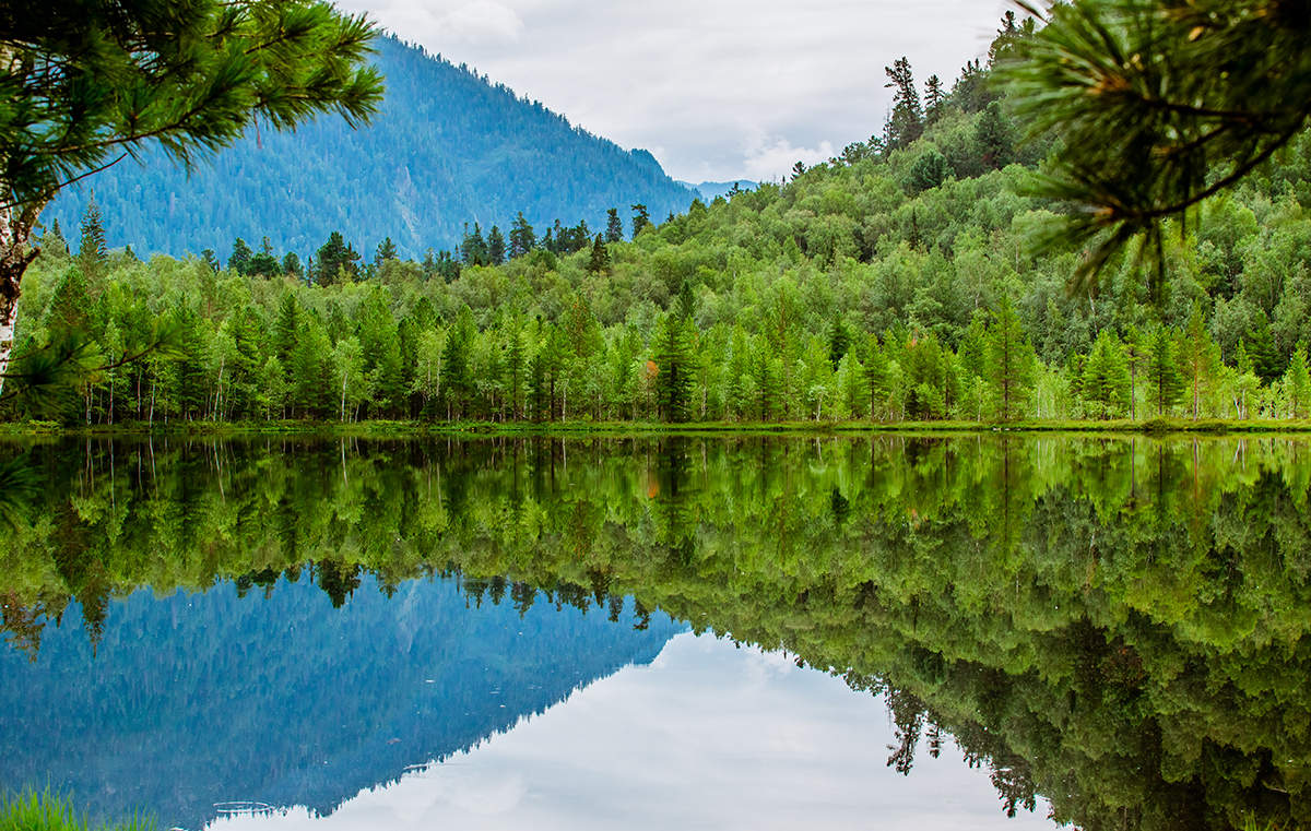 Natürliche Geometrie .