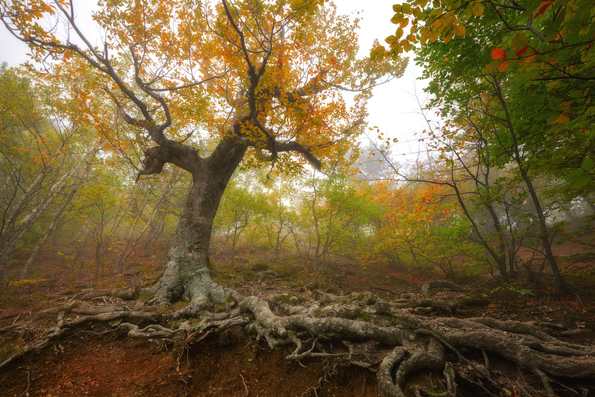 In der Länge Geister