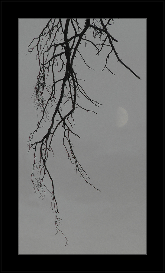 Modern in Silbertönen