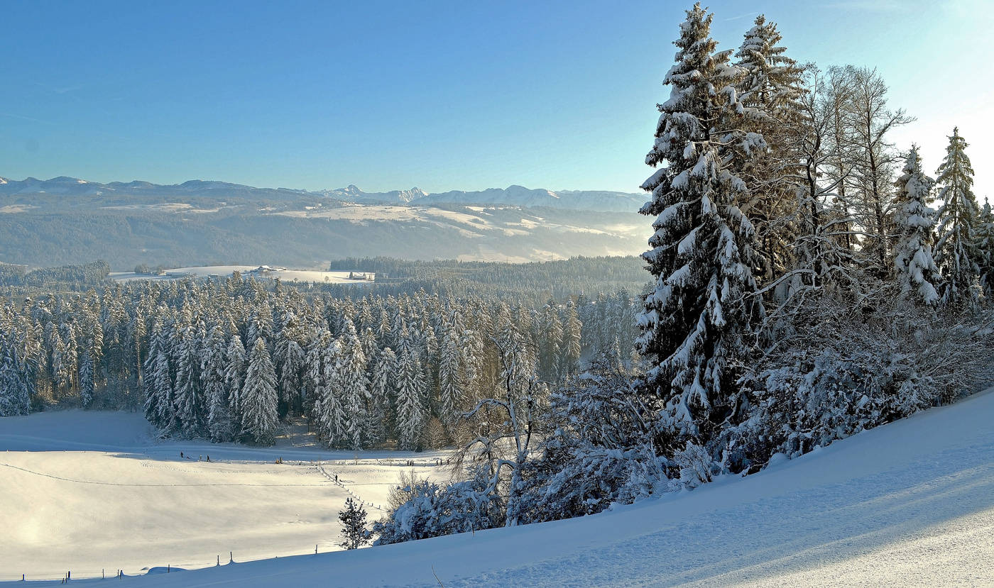 Winterlandschaft