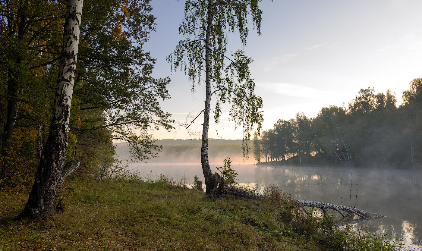 Morgendämmerung, Nebel