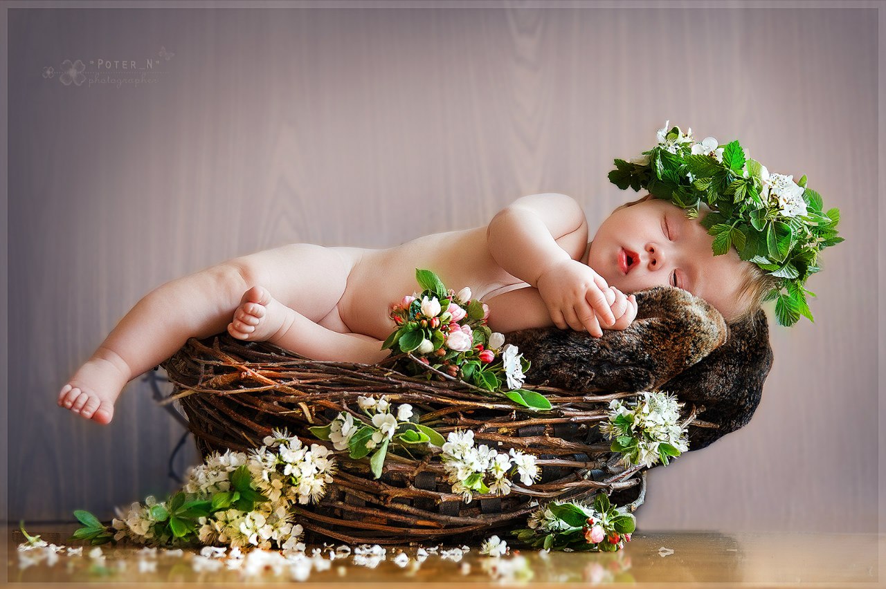 Frühling , wach auf!