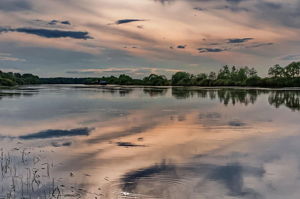 Am Nachmittag ( repost )