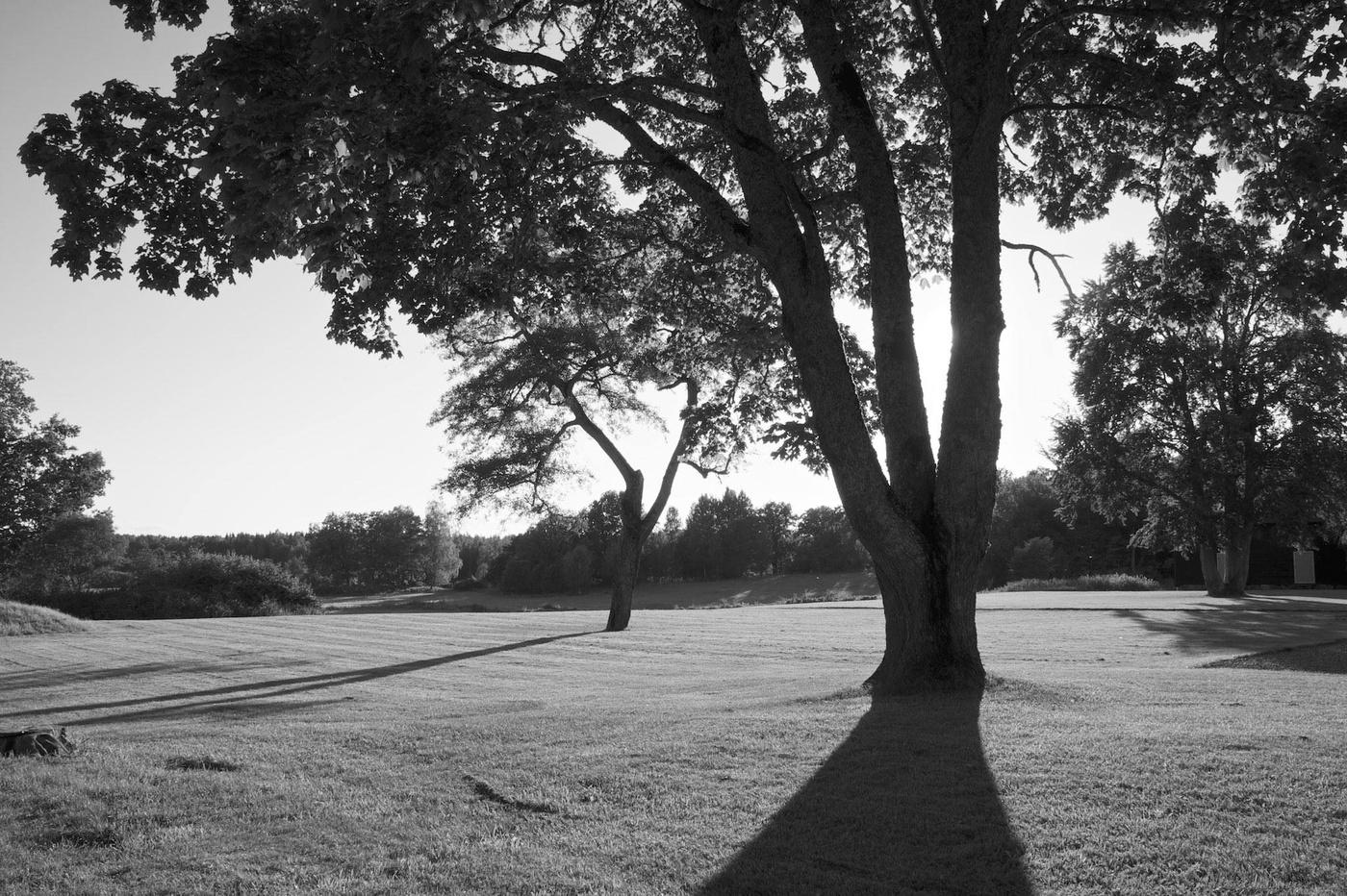 Die Stimmung im letzten Sommer