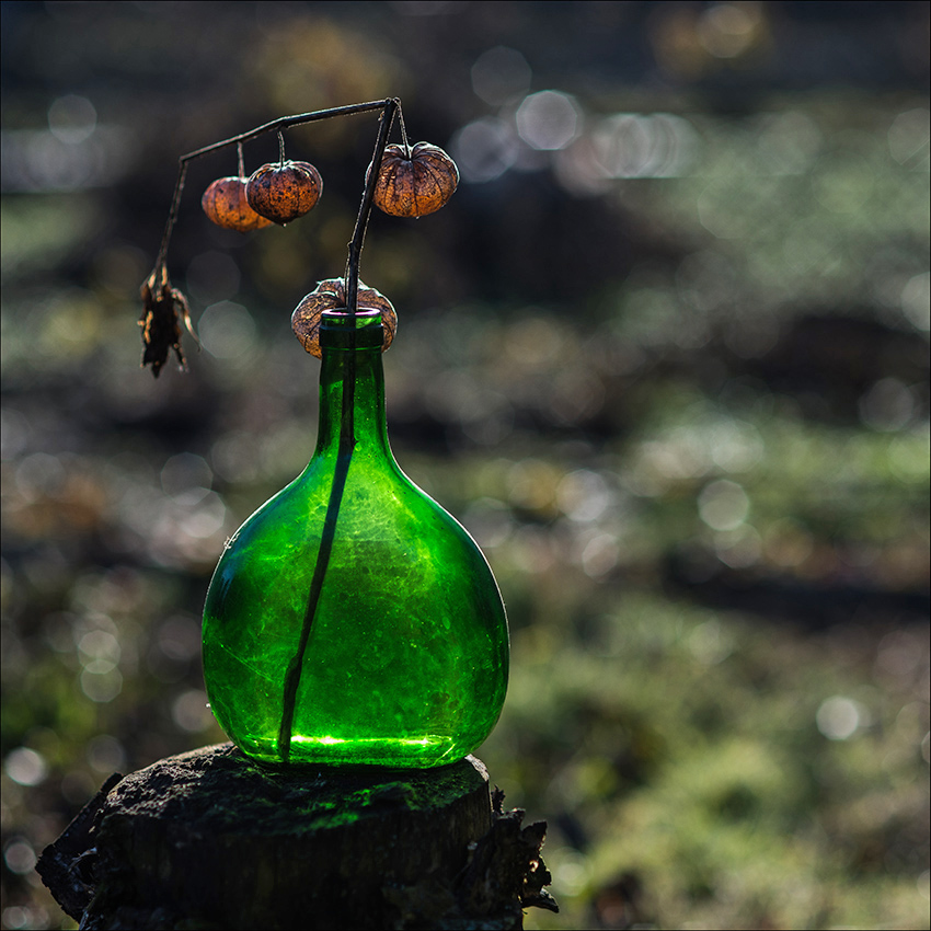 Herbst mit einem Grünstich