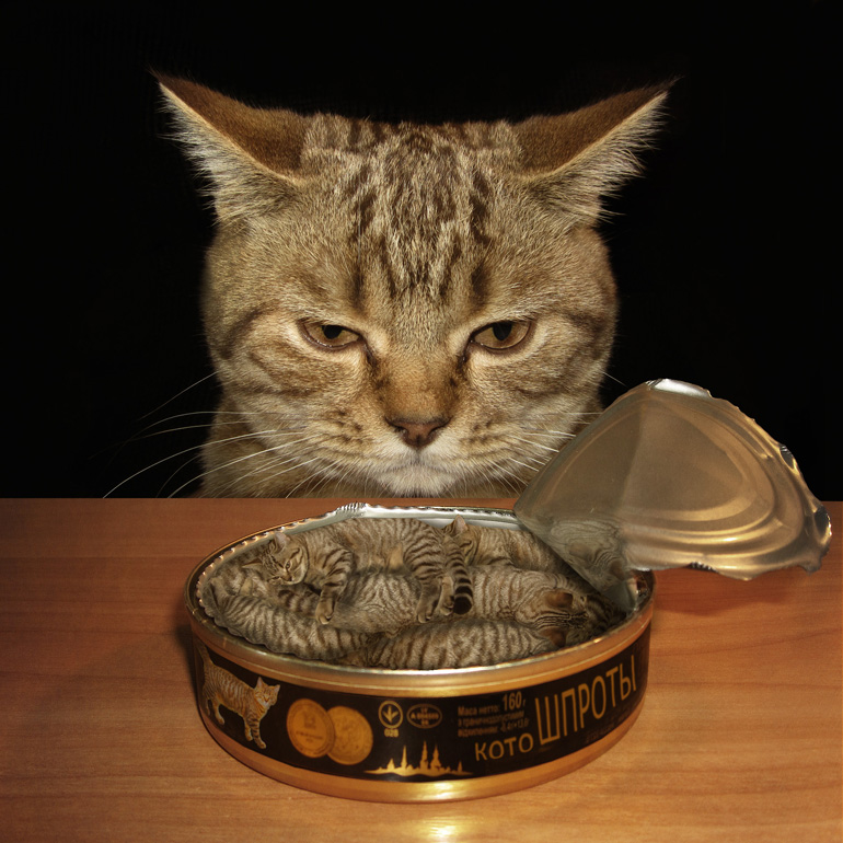 Über Alpträume ...