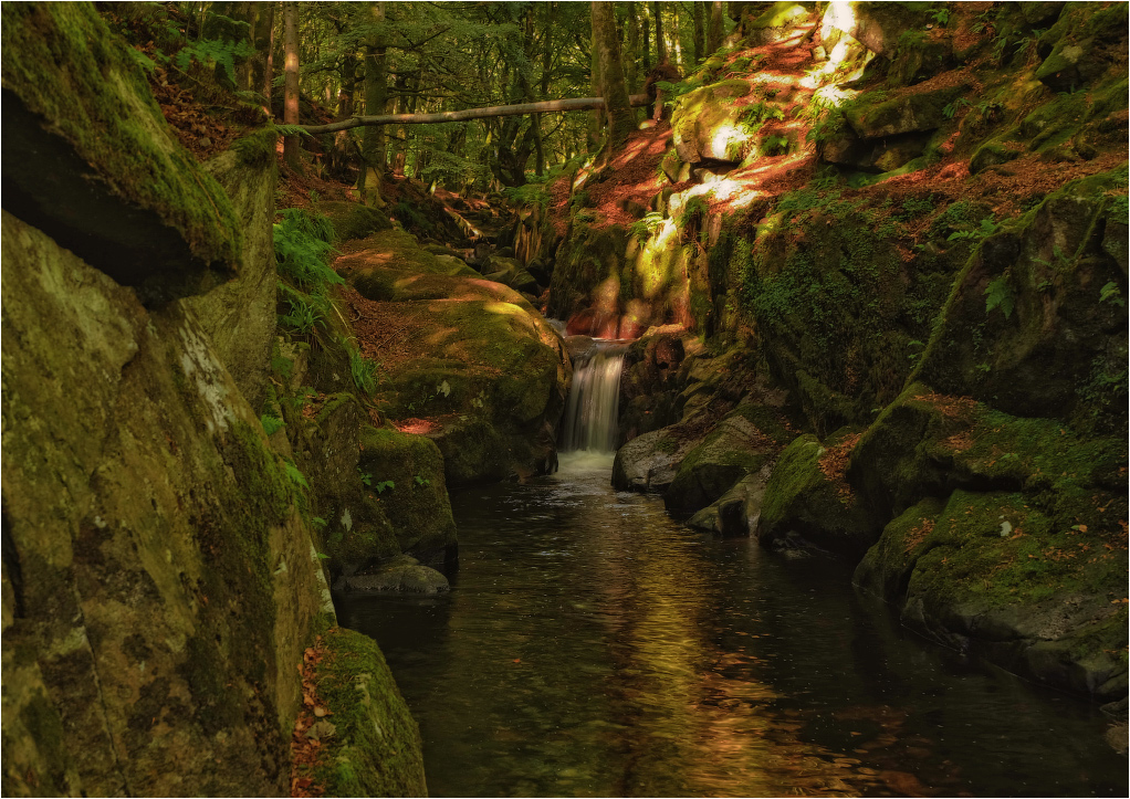 ...v chashchobe Klogliha...