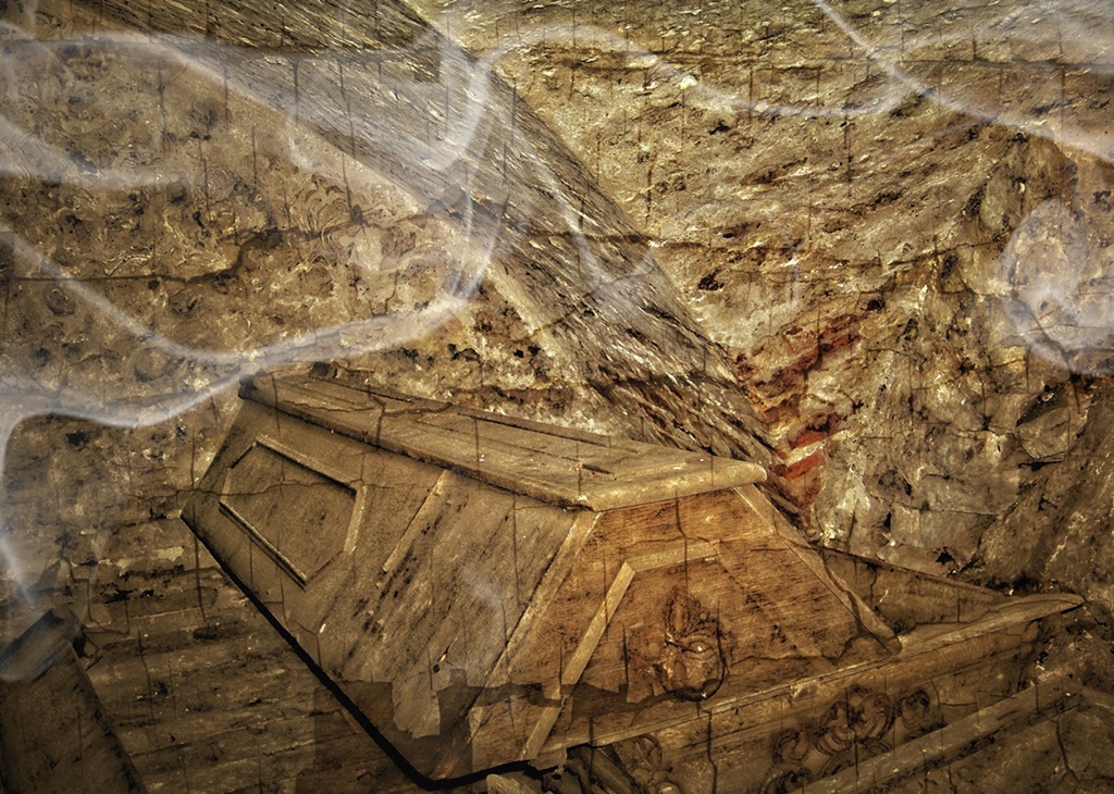 Dracula ist ausgeflogen...