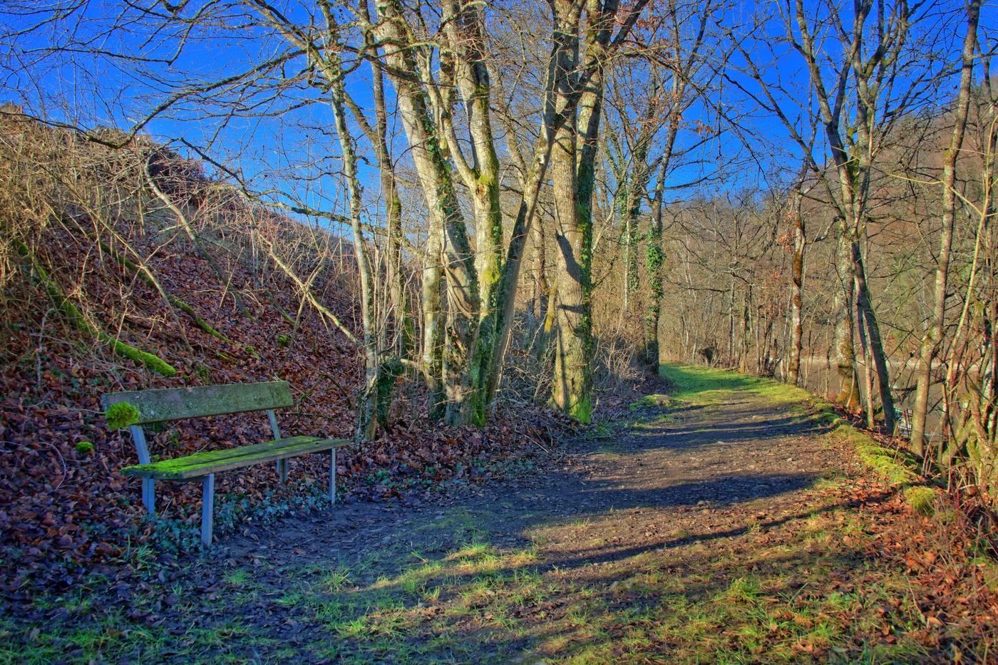 Sitzbank am Wanderweg