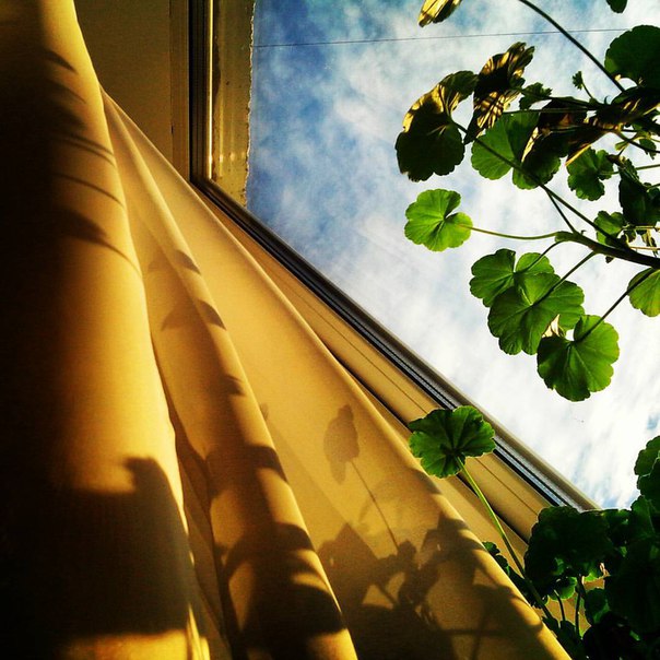 27. Tag des Monats Dezember)