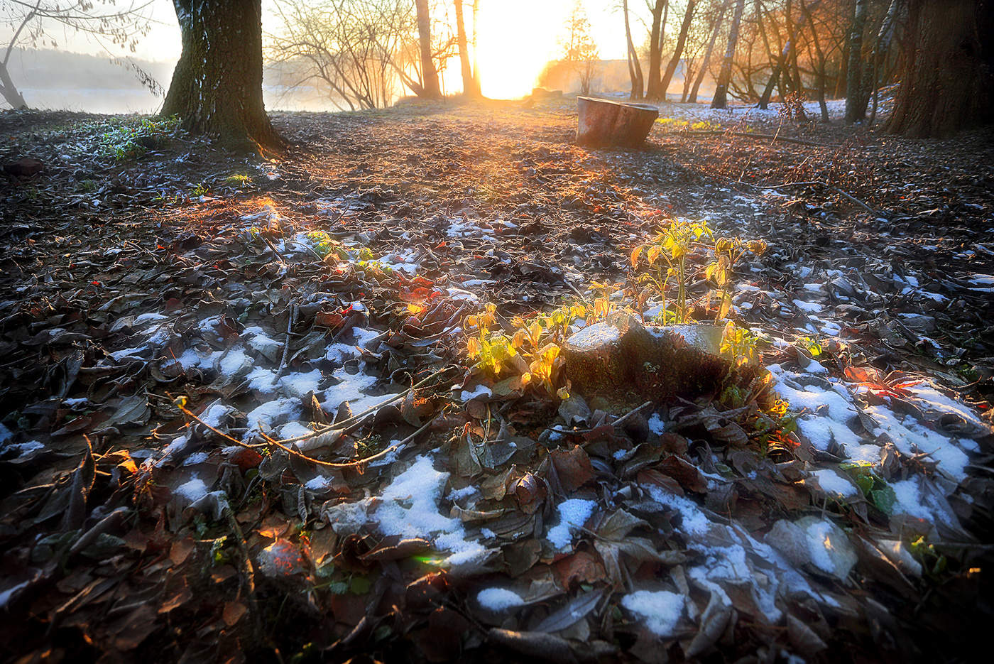 Gegenüber dem Leben ...