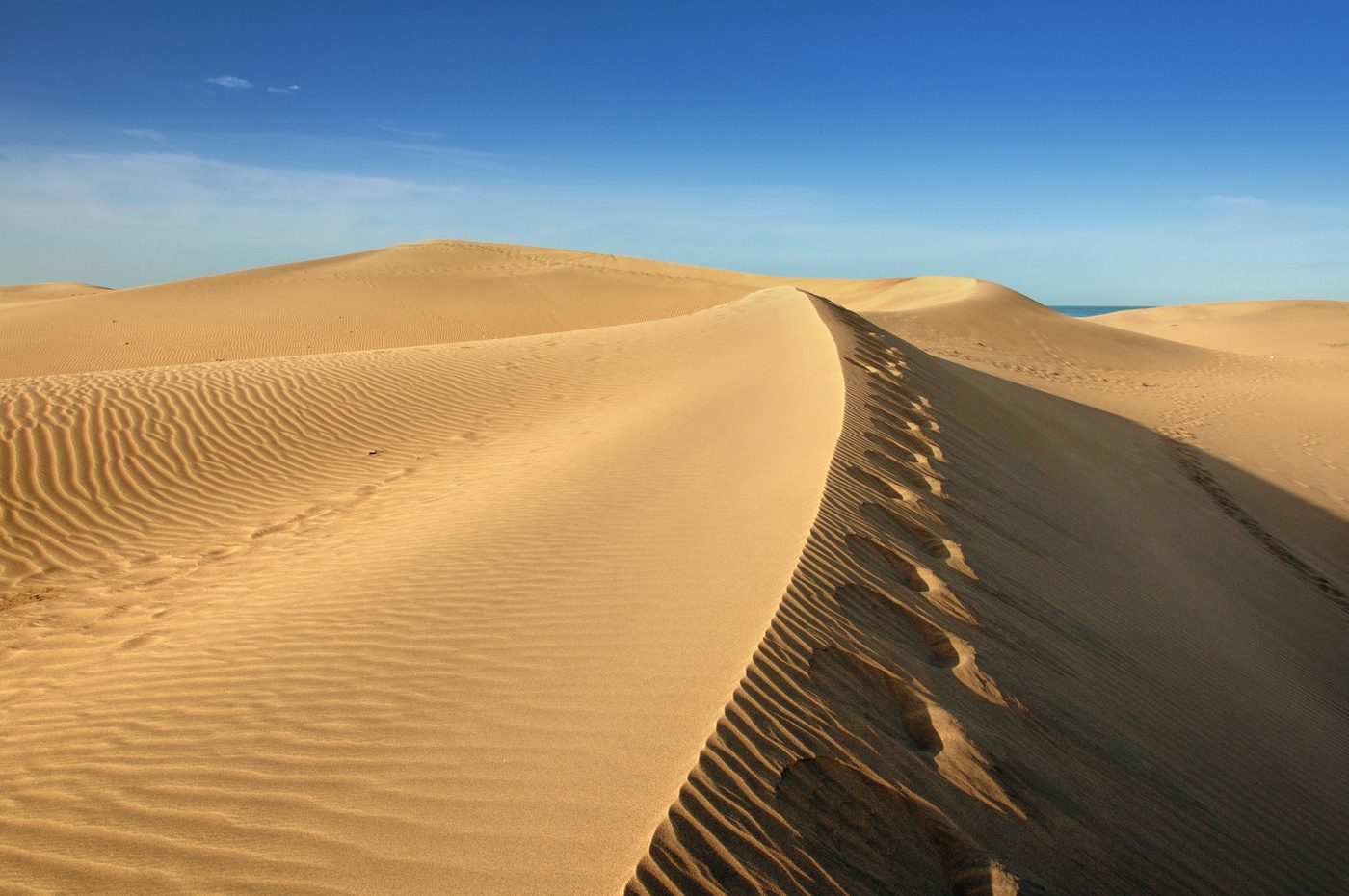 Die Dünen von Maspalomas am Morgen (Gran Canaria)