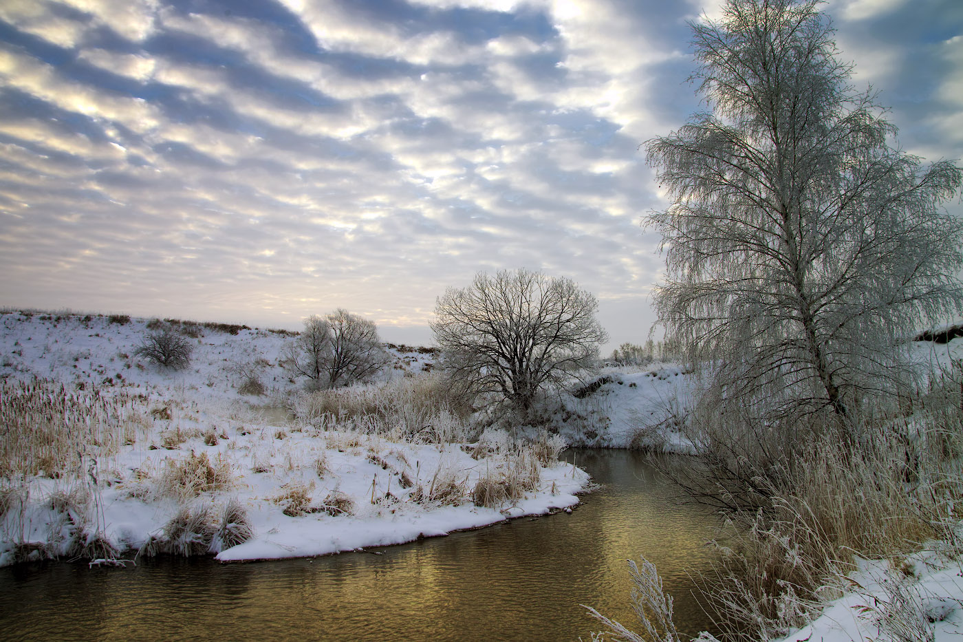 Morgendämmerung, Nebel