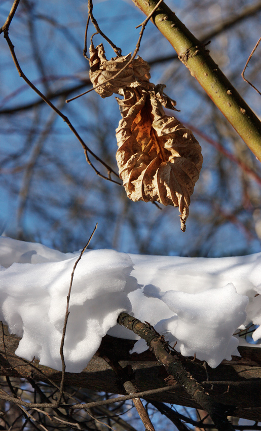 Herbst und Winter ...