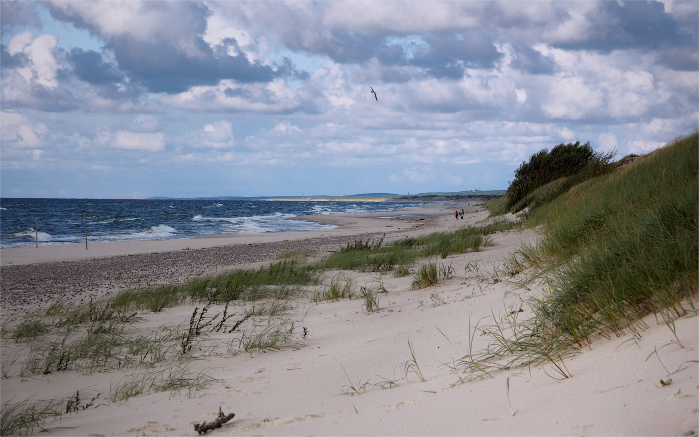 Dune und Wind