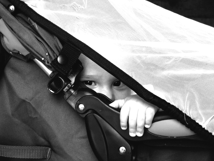 Ein Blick auf die Welt.