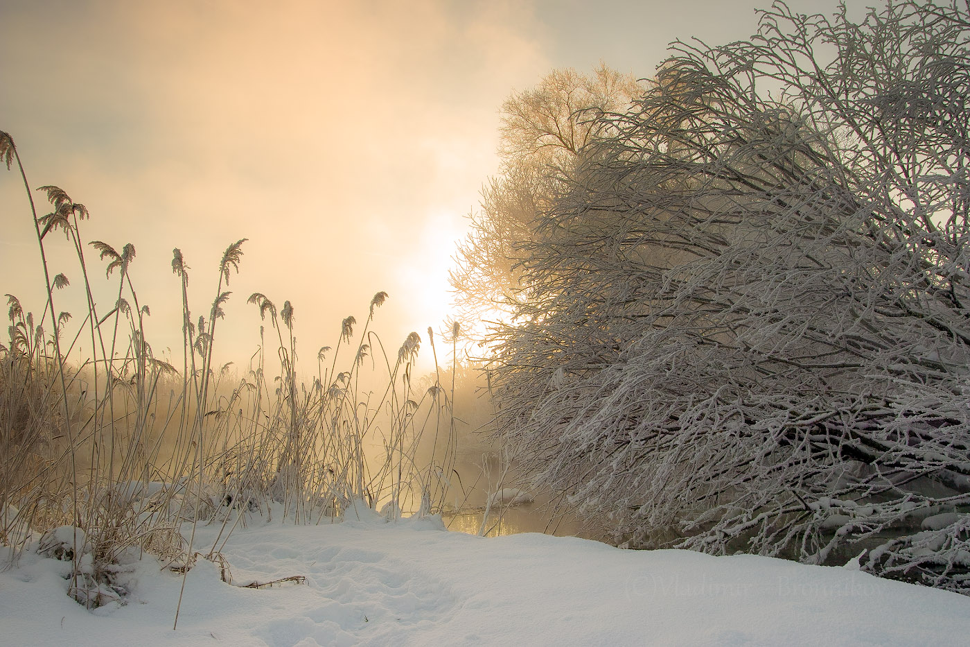Morgendämmerung, Nebel, Frost ..