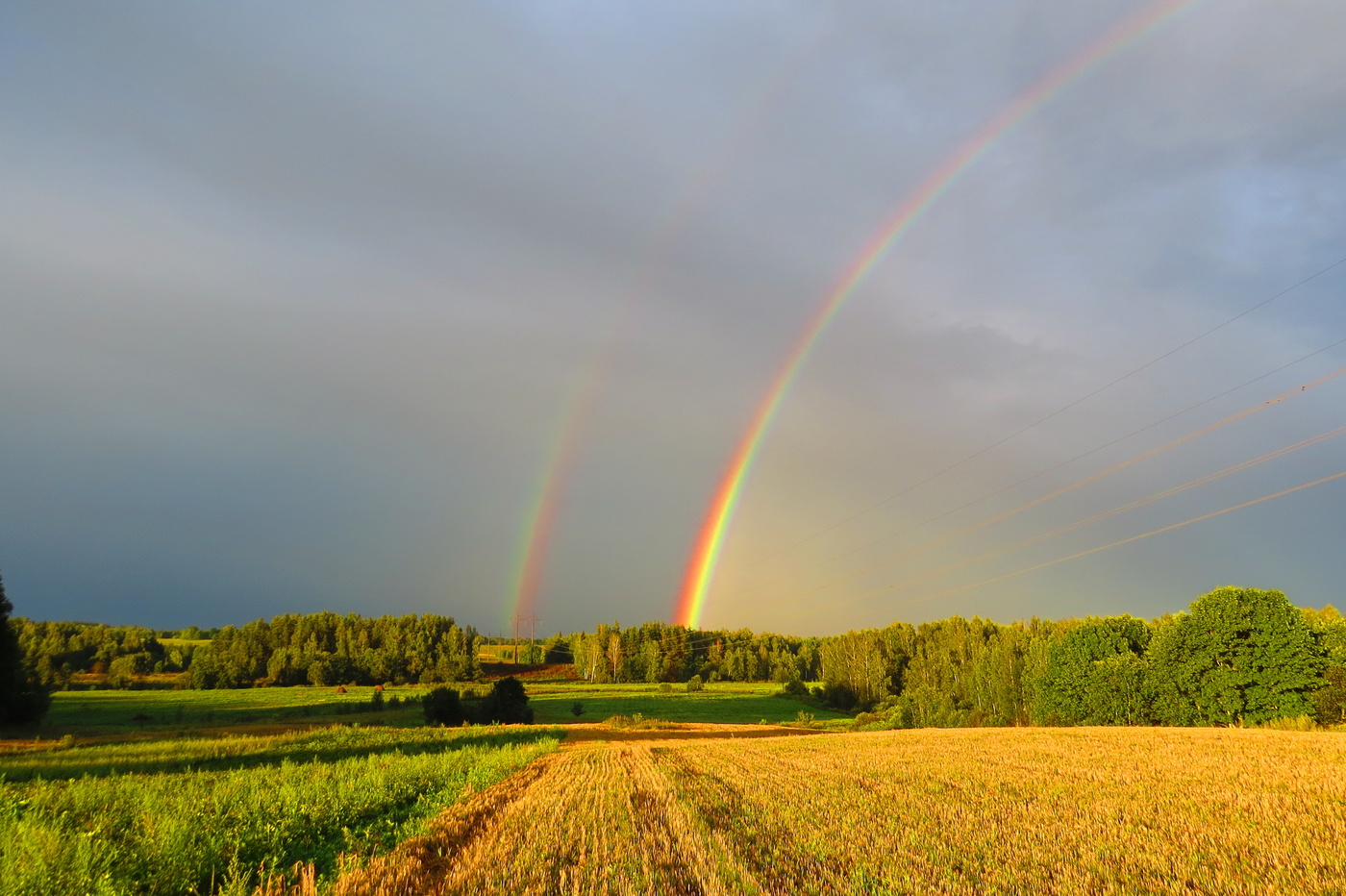 Regenbogen