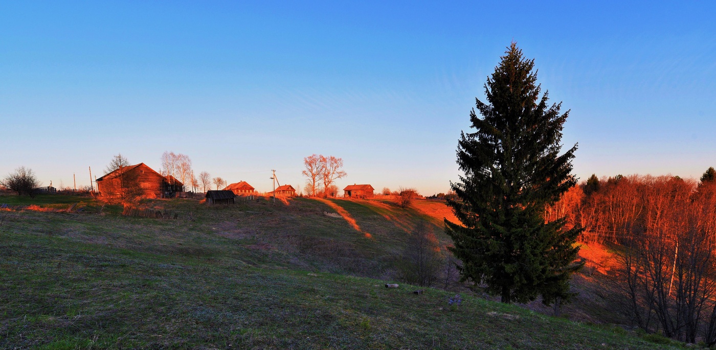 Die Kante du bist mein Geist ...