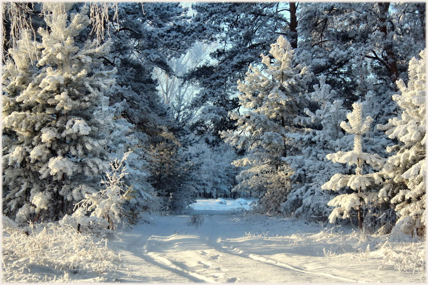 Glückliches Neues Jahr !!!