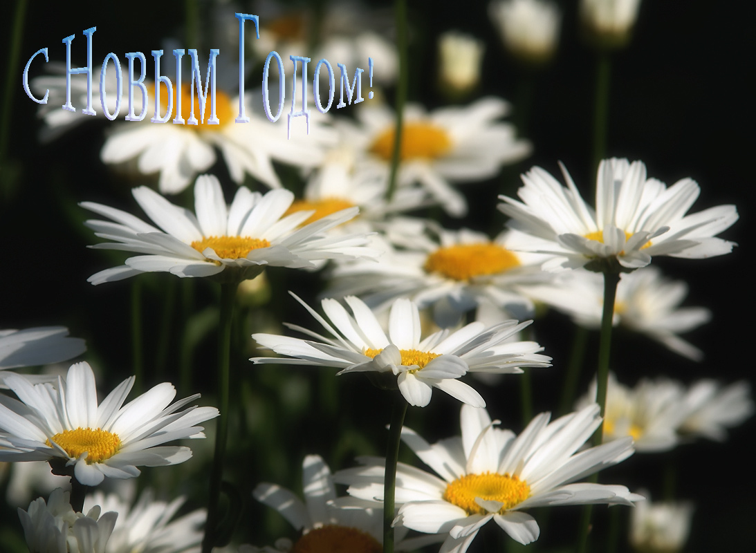 Herzlichen Glückwunsch!