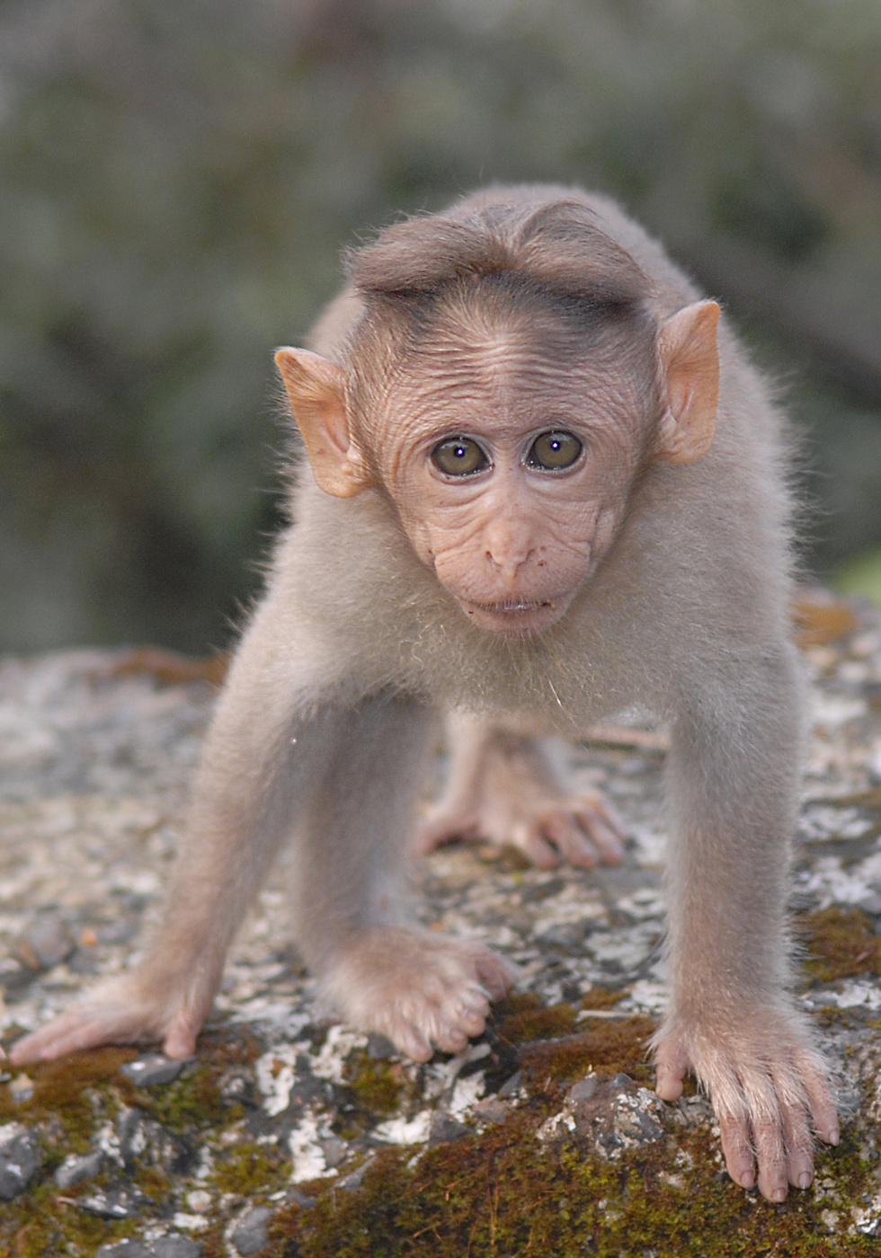 "Happy New Year! Brothers auf Grund!"