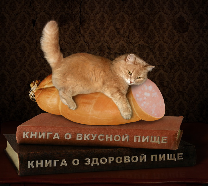 Auf die Schwierigkeiten der Wahl zwischen .....