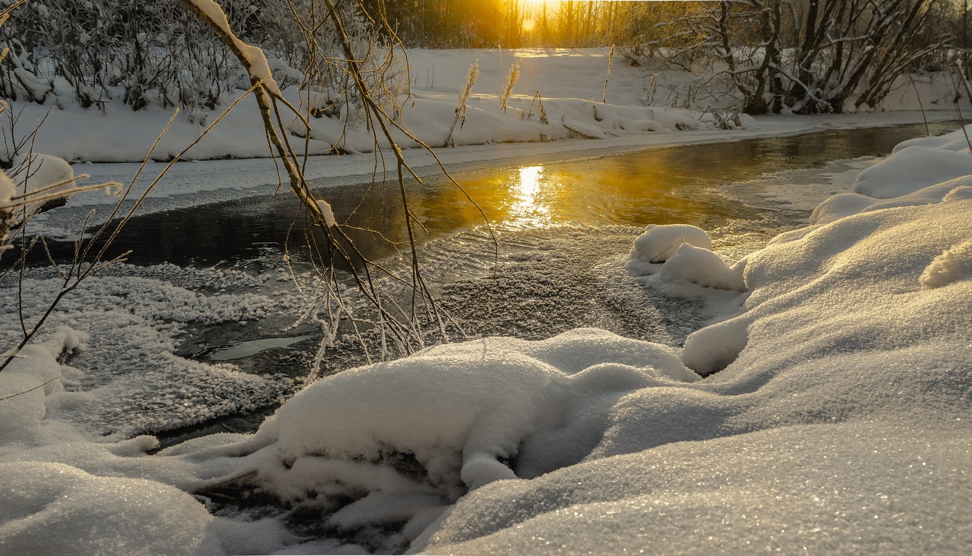 Tag des neuen Jahres ...
