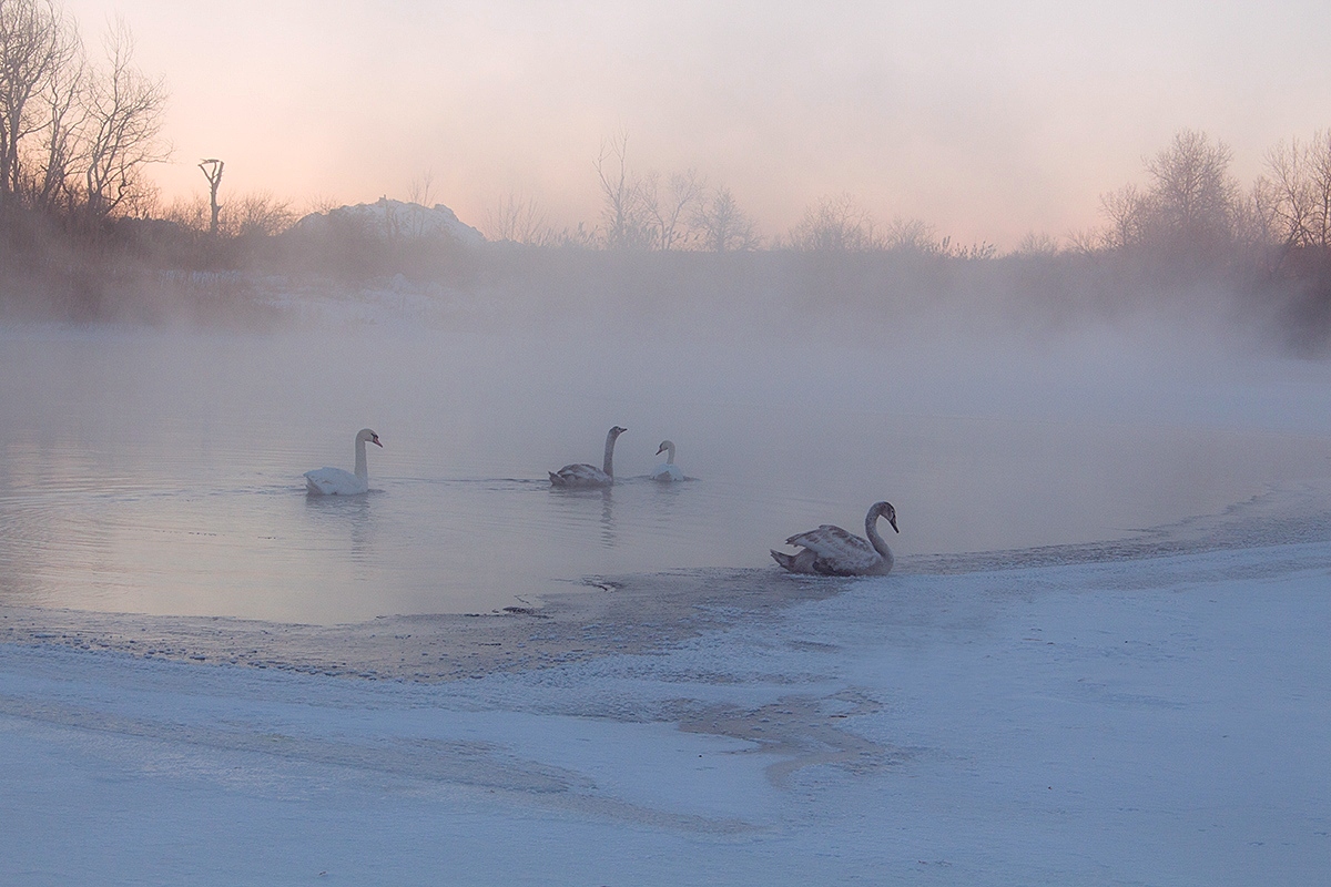 Der Morgen des neuen Jahres.