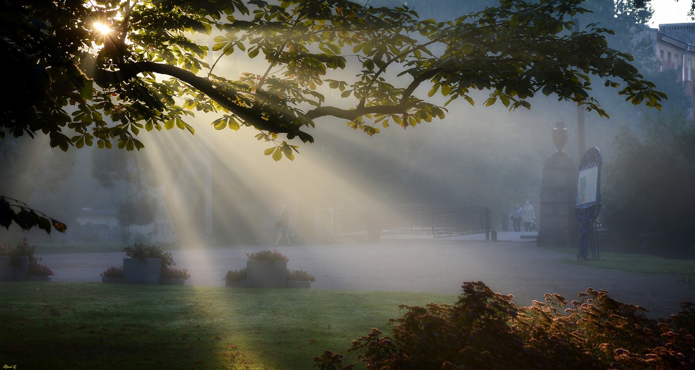 Morgen anstrengenden Tag ....