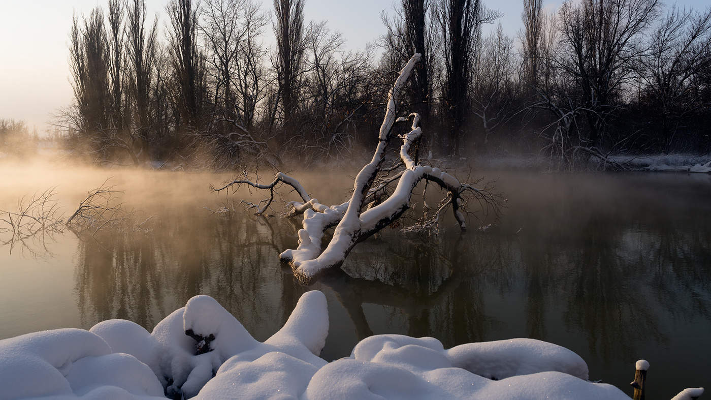Morgen, am ersten Januar