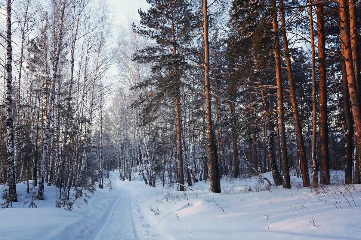 An einem kalten Morgen.
