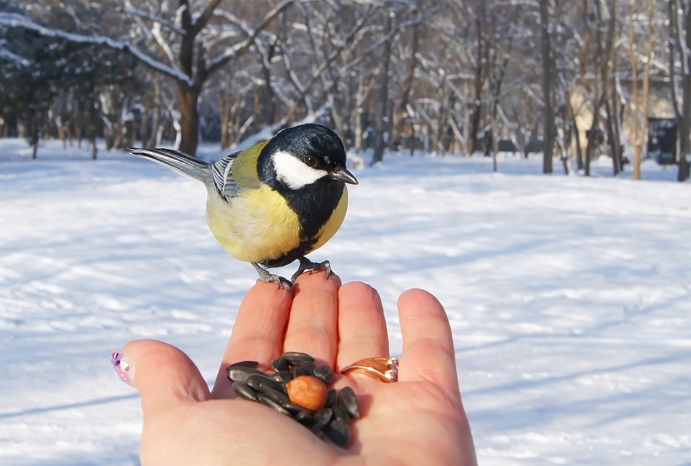 Das erste Treffen im Jahr 2016