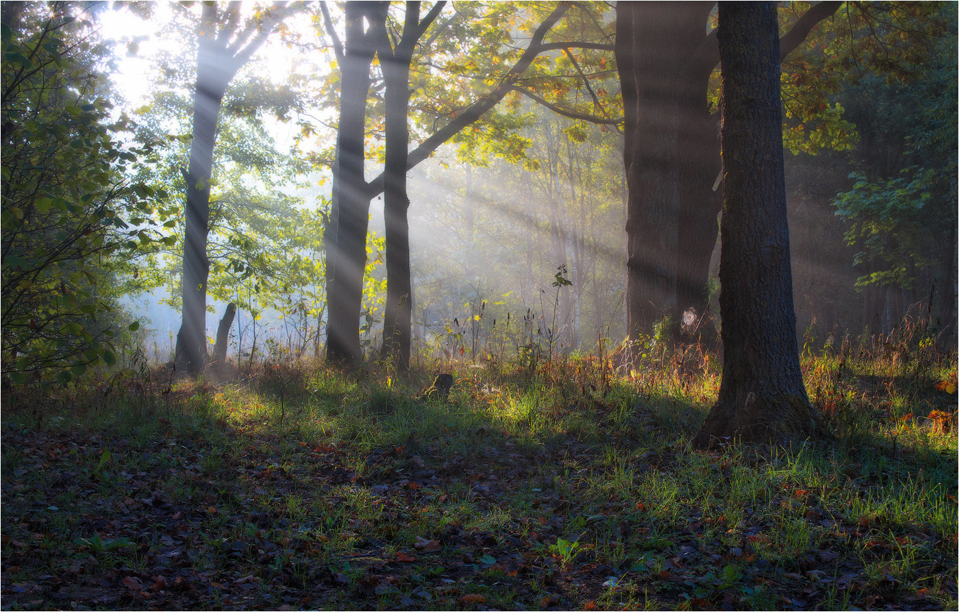 Ich badete im Morgenlicht ...