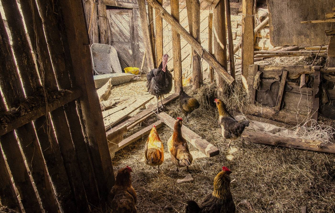 Die Analyse der "Fliegen!"