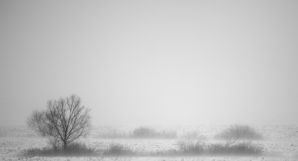 Morgendämmerung in den Sturm