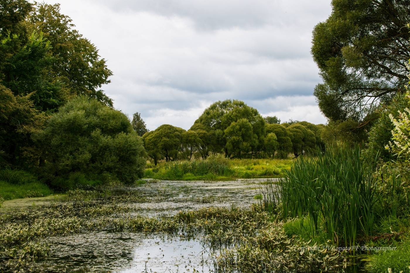 Vyazemskij Landschaft