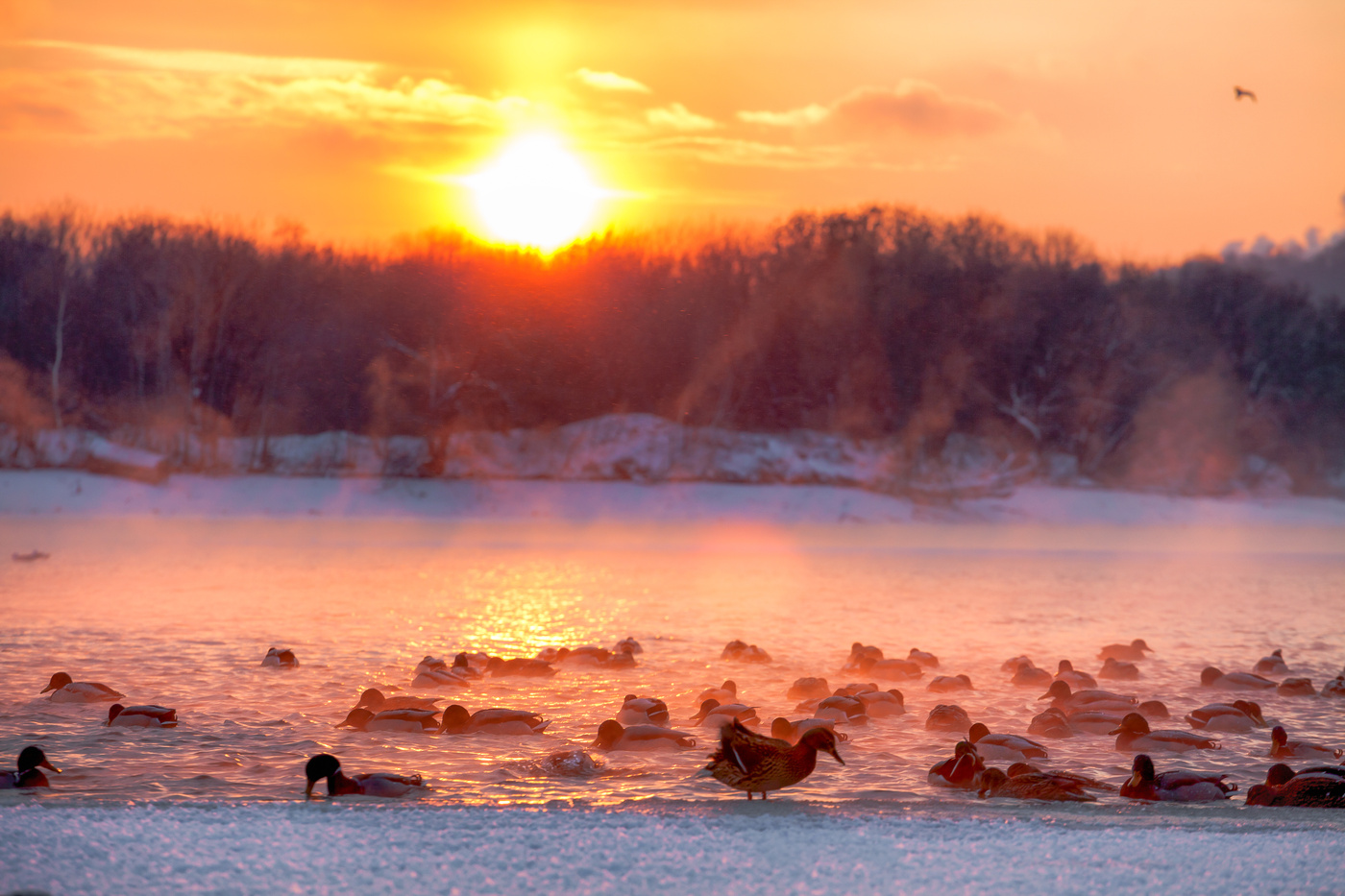 Im Licht der untergehenden Sonne ...