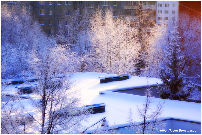 Morgen des neuen Jahres
