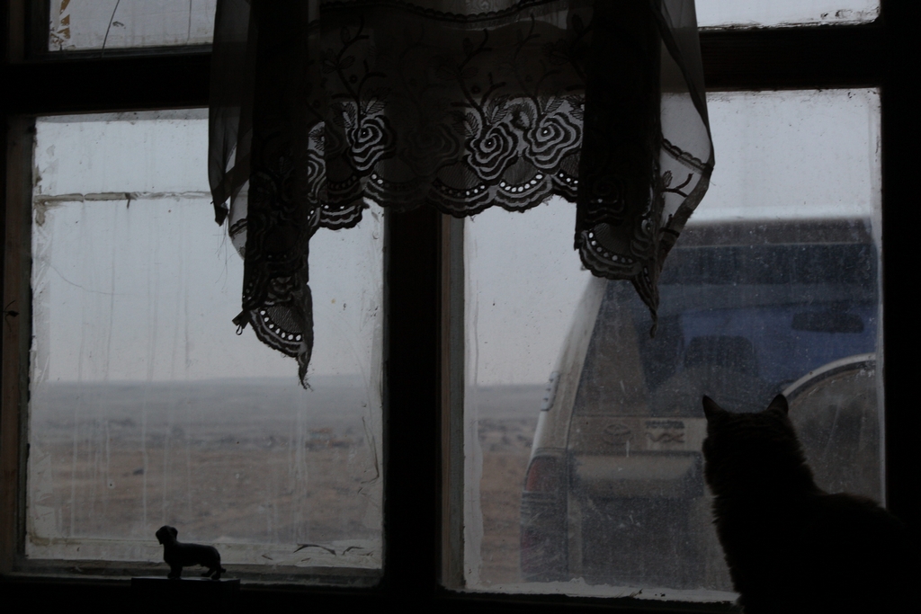 Außerhalb des Fensters.