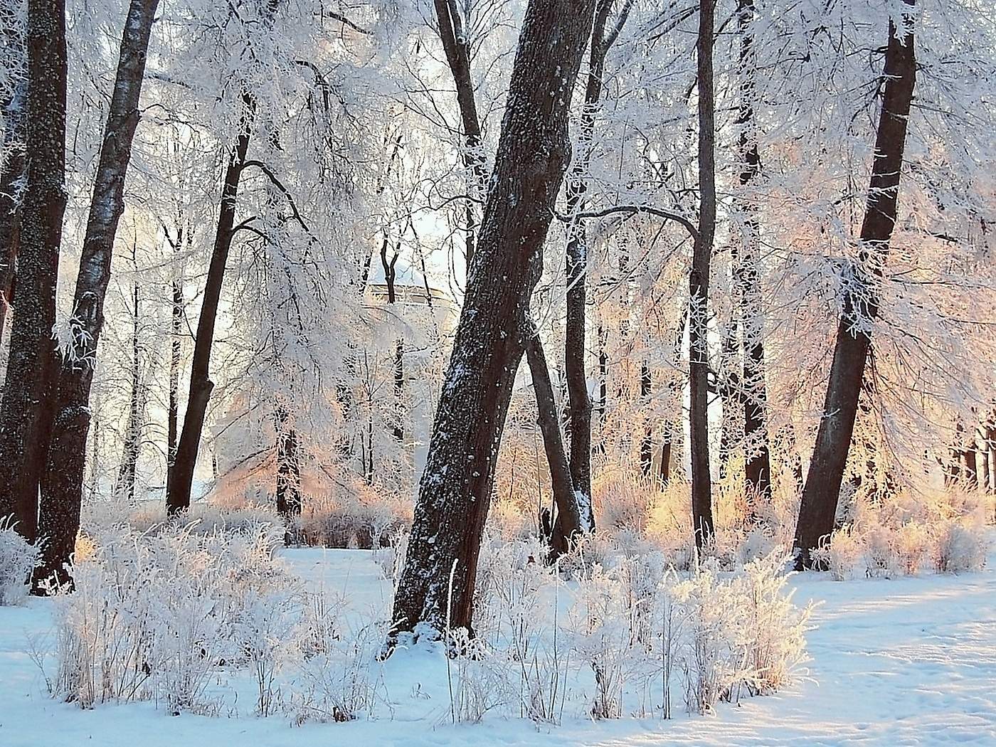 Weihnachtsdekoration