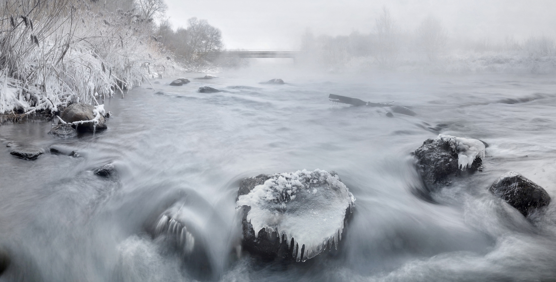 Über bärtigen Felsen