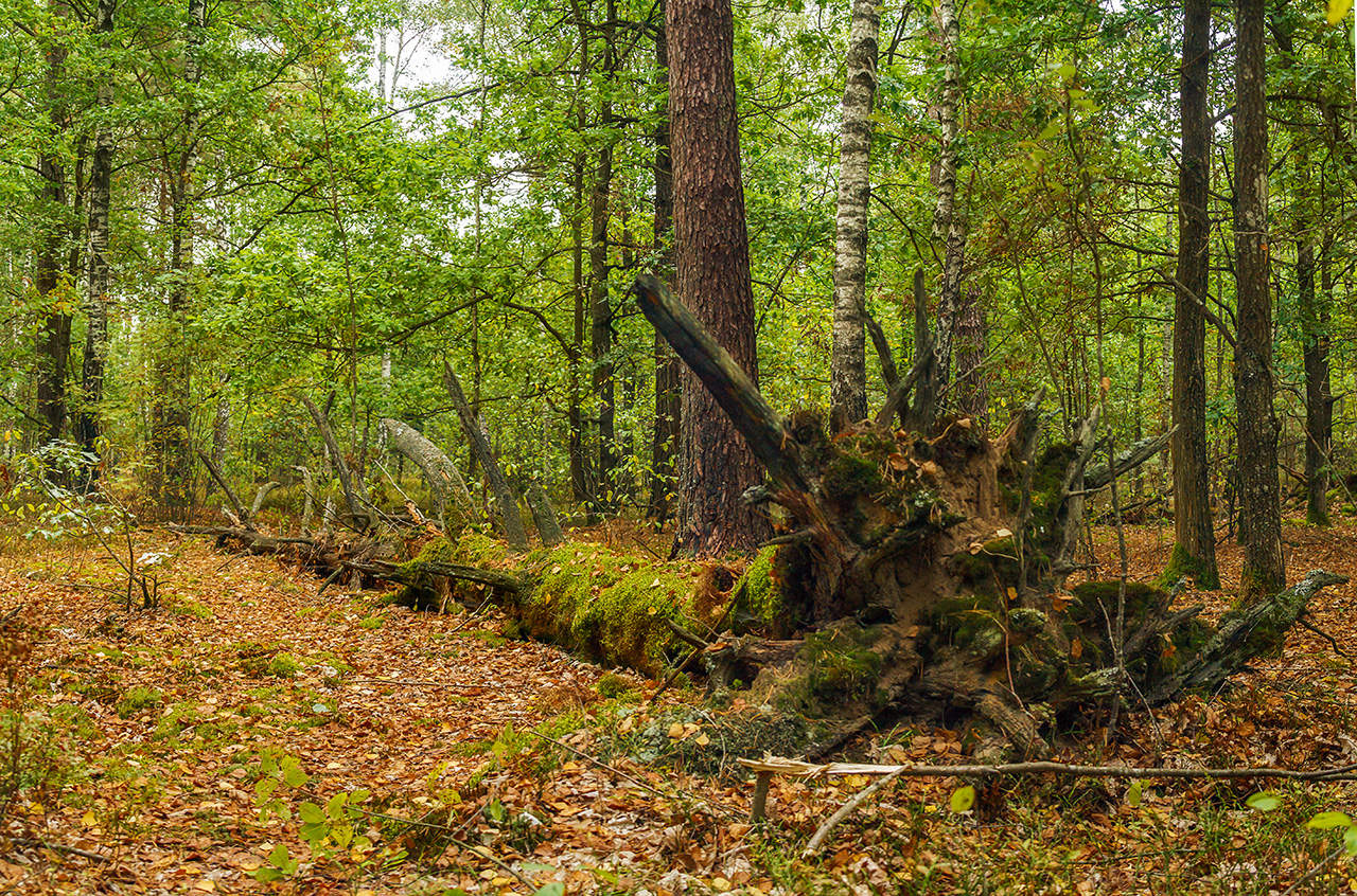 Wunderschön liegt ...